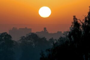 صورة لشمس غروب في Cairo، حيث تتشكل خلفية من المباني والشجرة. وتشير هذه الصورة إلى اتجاهات التسويق عبر وسائل التواصل الاجتماعي في مصر 2025، מראהًا لآراء التعاون والتقدم في ساحة التواصل.