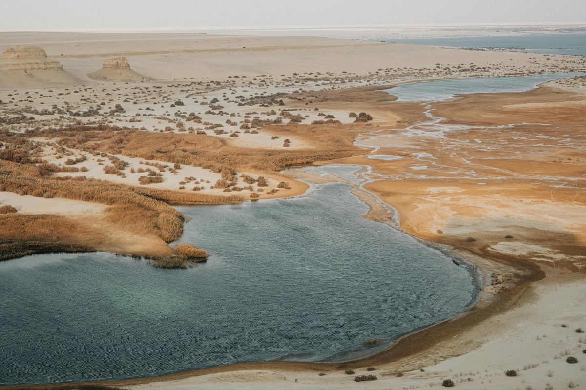 تيك توك: صعود نجوم المحتوى المصريين