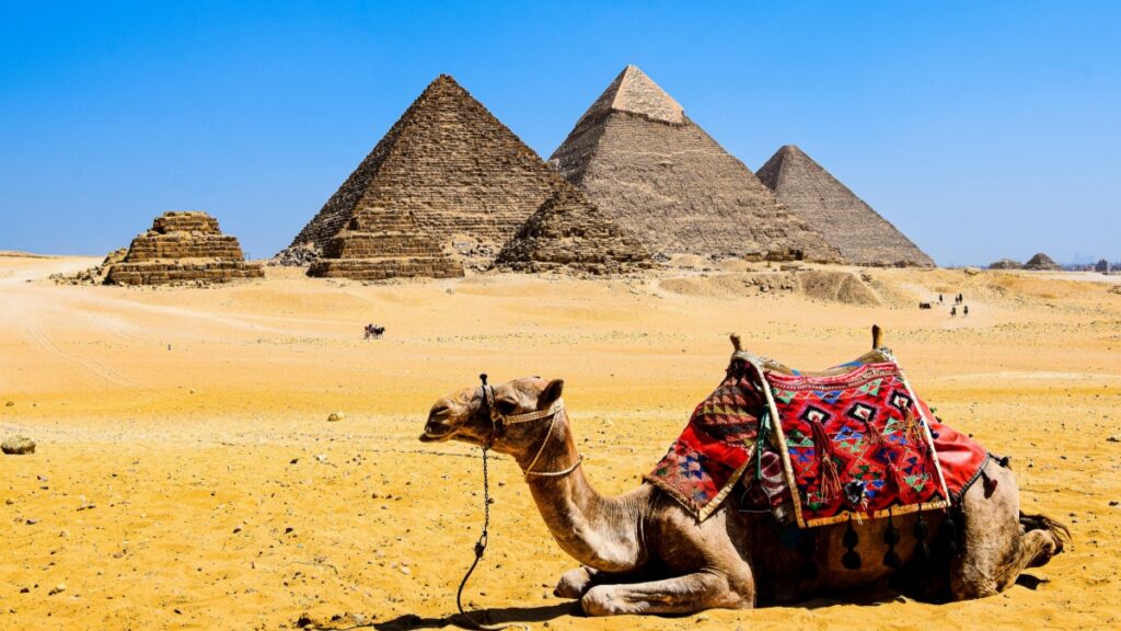 [صورة لهرمات الجيزة مع شتر يجلس في الصحراء.] وصف باللغة العربية:"مشهد مذهل للهرمات القديمة في مصر،مع شتر يجلس في الصحراء،يعكس الجمال وال력 التاريخية.في عالم التكنولوجيا الحديثة،هناك محاولة من تطبيق بايت للقضاء على تيك توك،حيث يسعى إلى المنافسة في الساحة الرقمية."