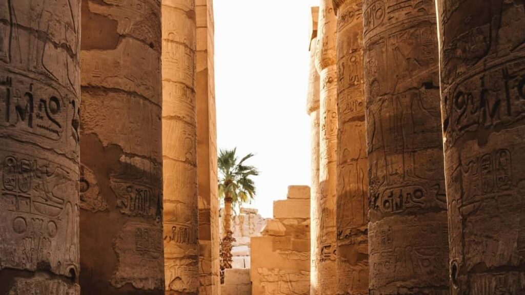 ازاي مؤثرين لينكدإن في مصر يتعاونوا مع براندات يابانية صح