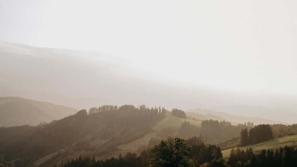Top 10 Pinterest Influencers You Should Collaborate With in Austria
