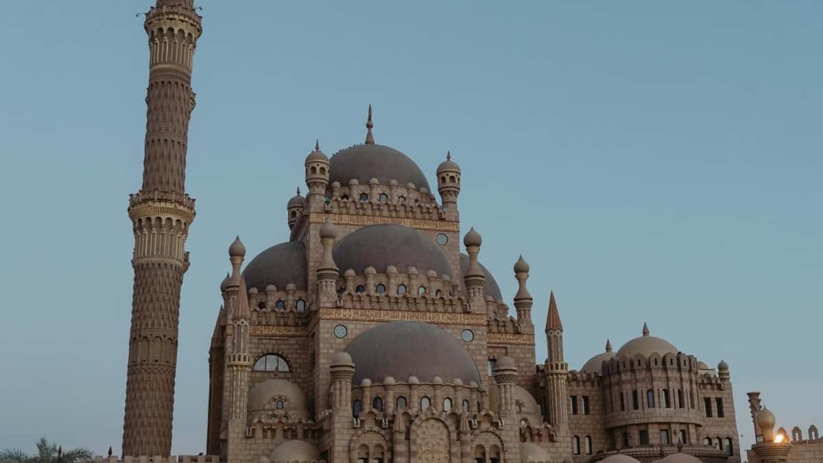 المبدعين في مصر: ازاي توصل لبراندات الأردن على فيسبوك وتعمل فيديوهات قصيرة مبهرة؟