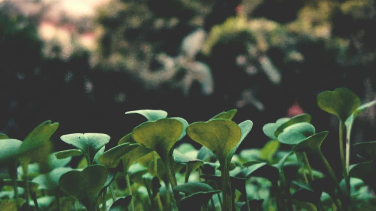 إزاي ألاقي منشئي فيسبوك في بنما للمبادرات الاجتماعية