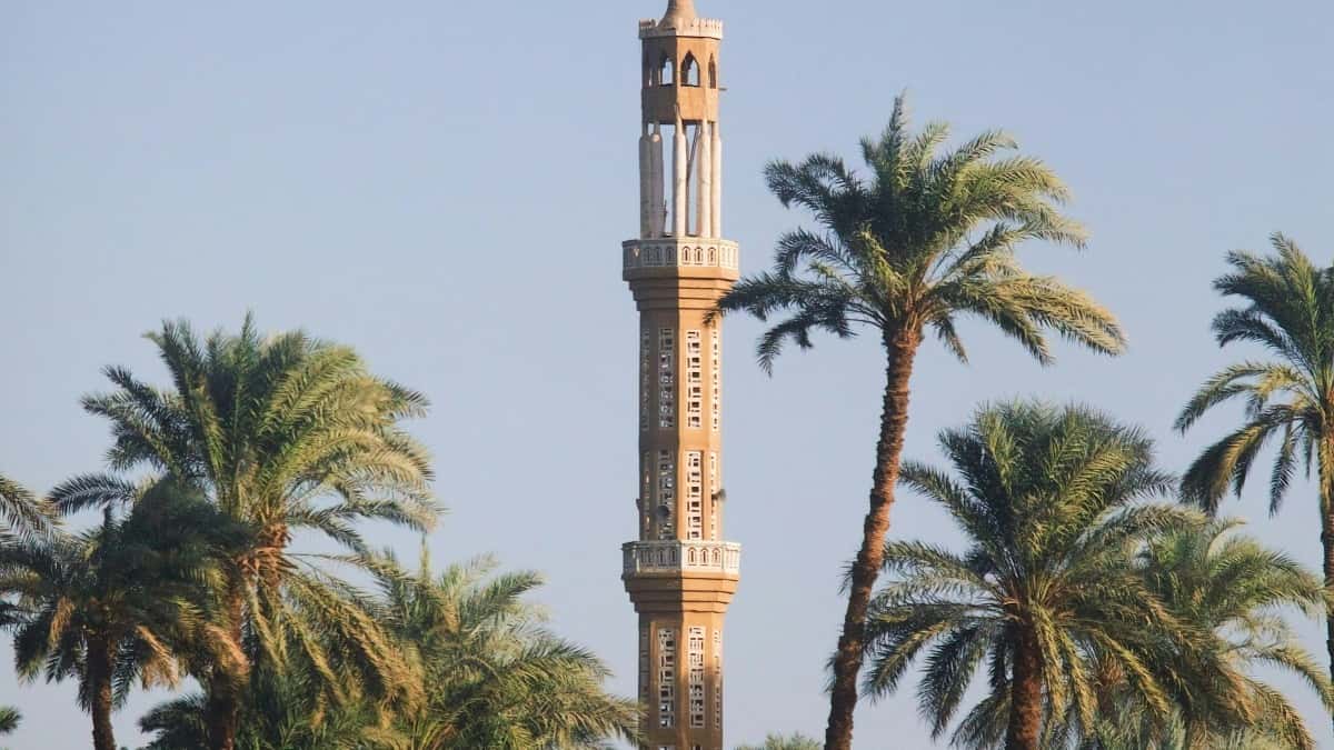 كيف توصل لعلامات سويسرا على فيسبوك لتعاون في أدلة الإنتاجية؟