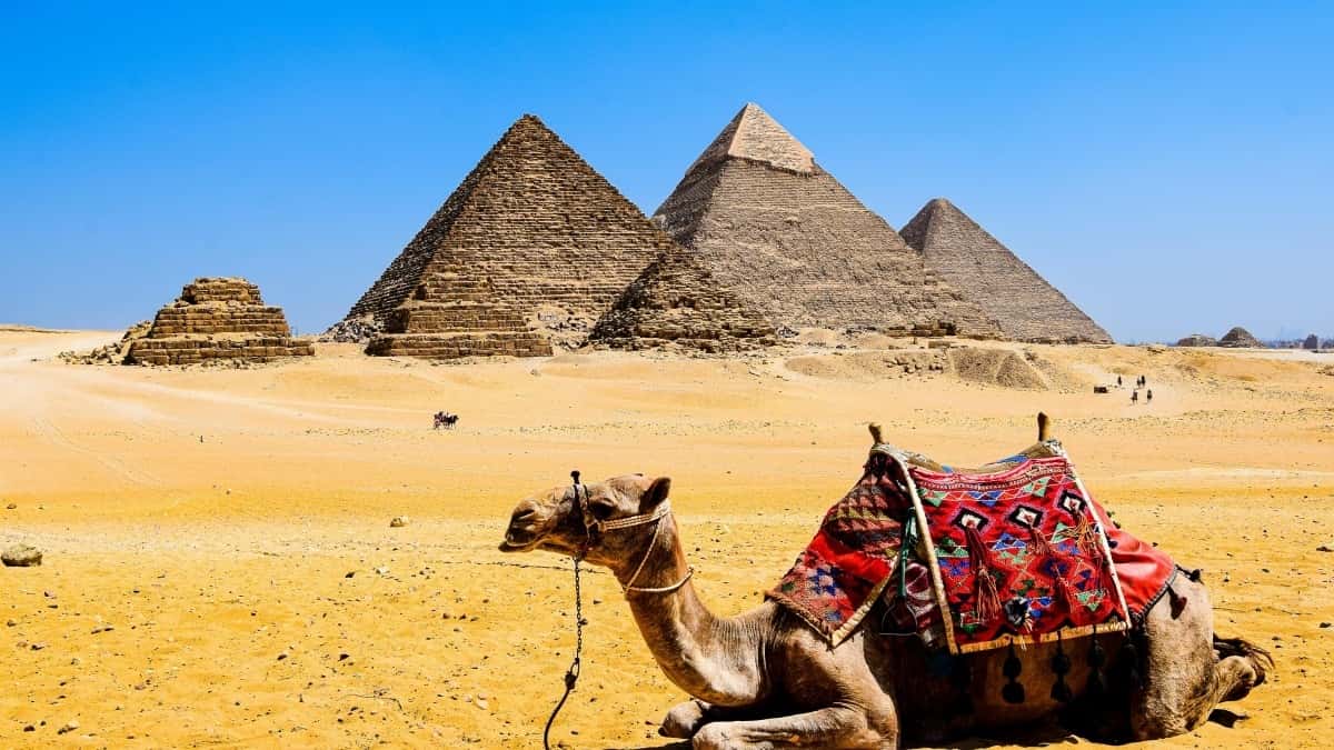 مبدعي مصر: إزاي توصلوا براندات الإمارات لـ unboxing