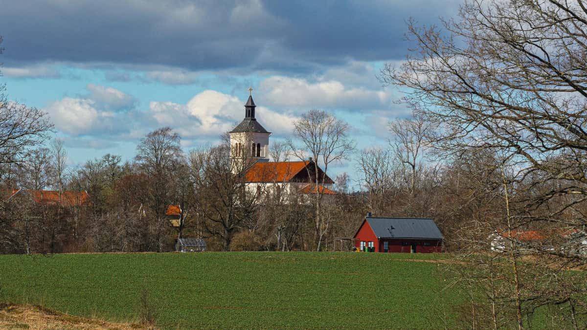 ازاي تلاقي مبدعين Lazada في السعودية لتسويق الكورسات
