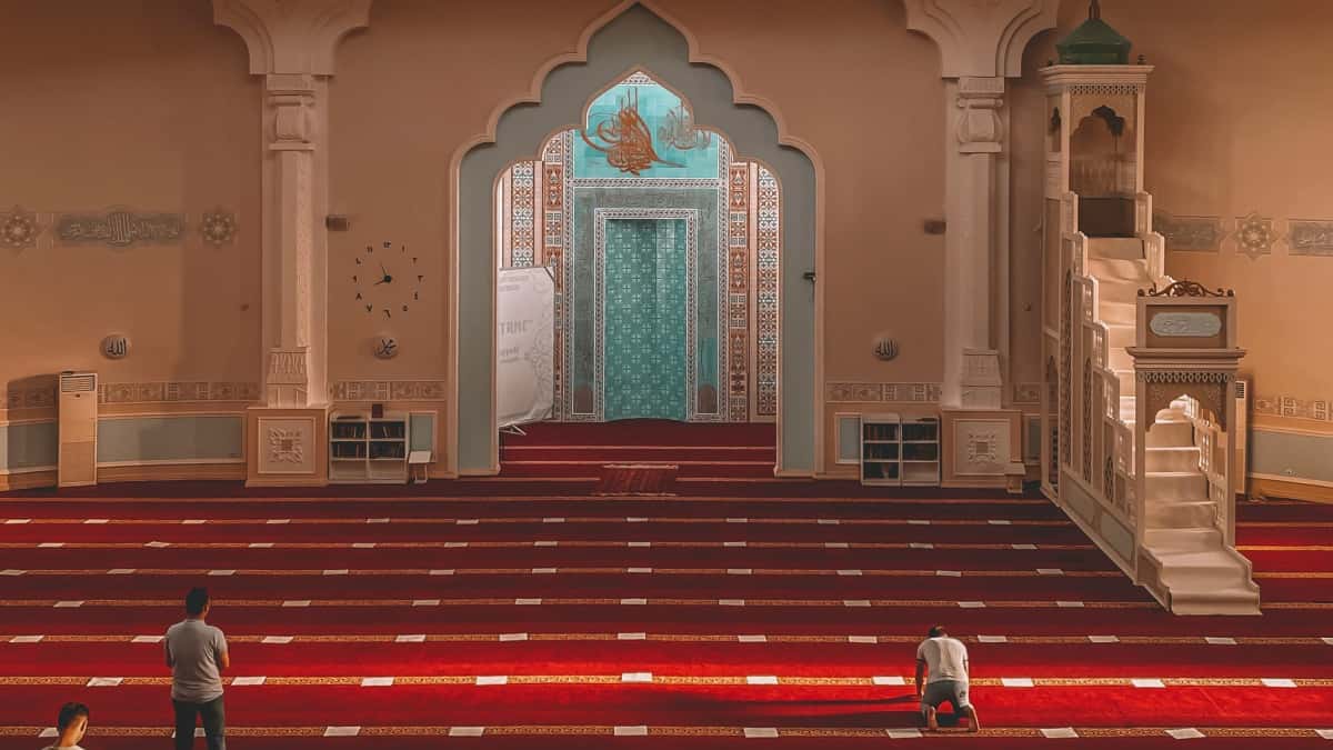 صناع محتوى مصر: وصل لأبراندات أوكرانيا على Hulu وشارك عادات صحية