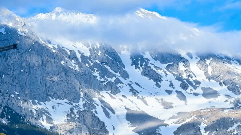 Clubhouse Reaction ROI .