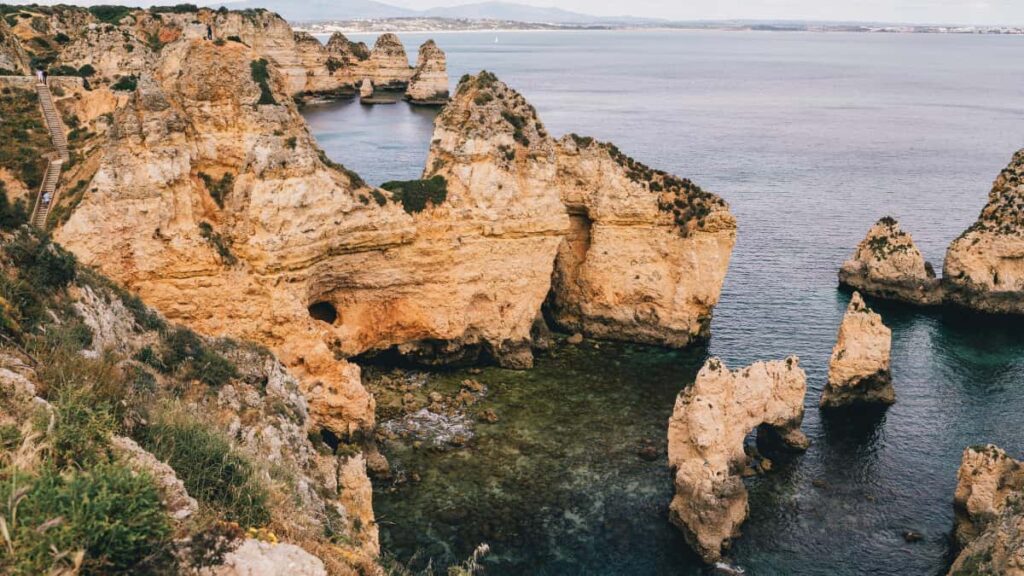 vkontakte creator-driven seeding .